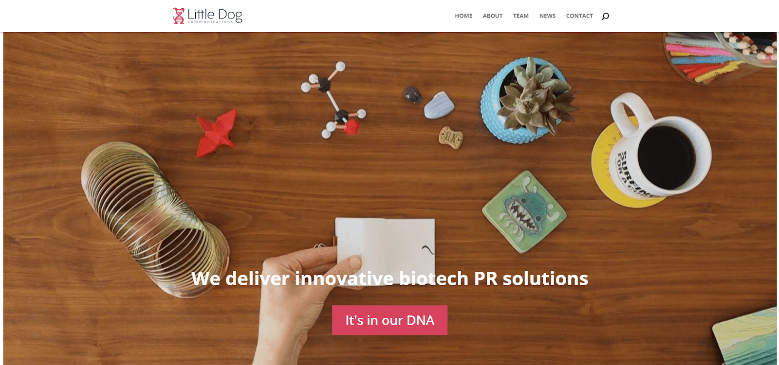 Little Dog Communications homepage