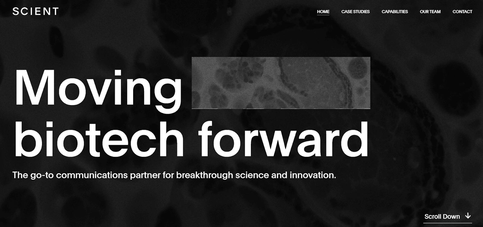 SCIENT PR homepage